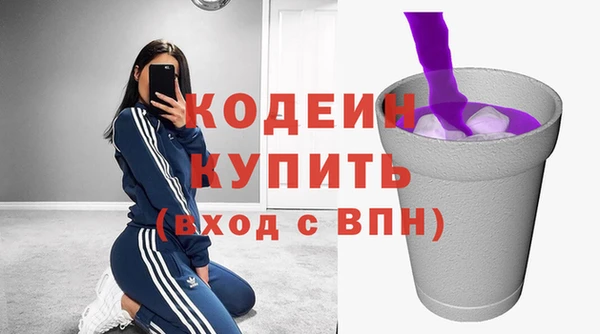 хмурый Арсеньев