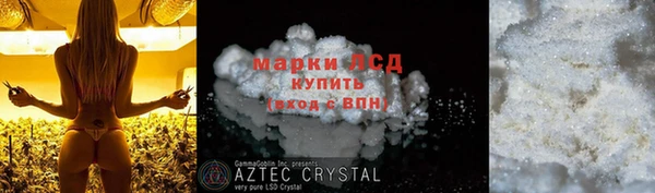 хмурый Арсеньев