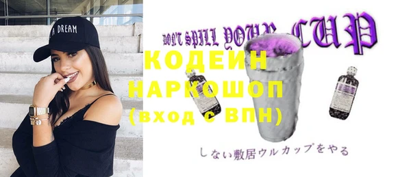 хмурый Арсеньев