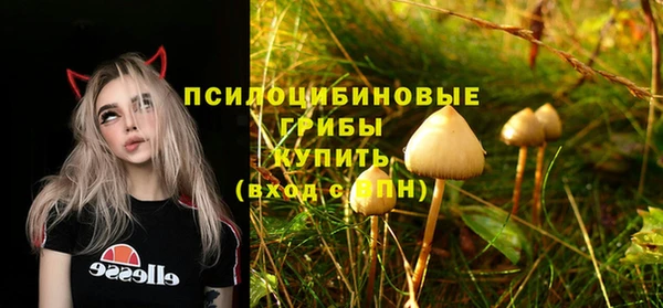 гидра Аркадак