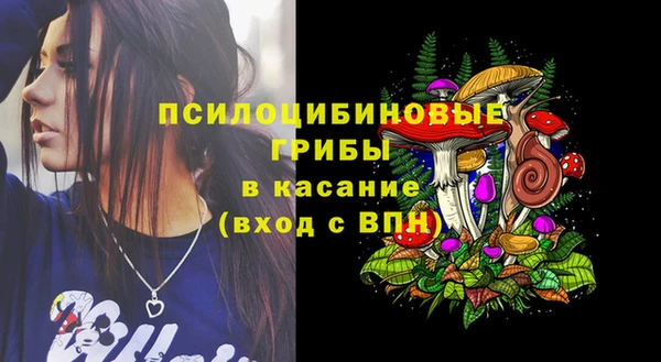 прущие крисы Алзамай
